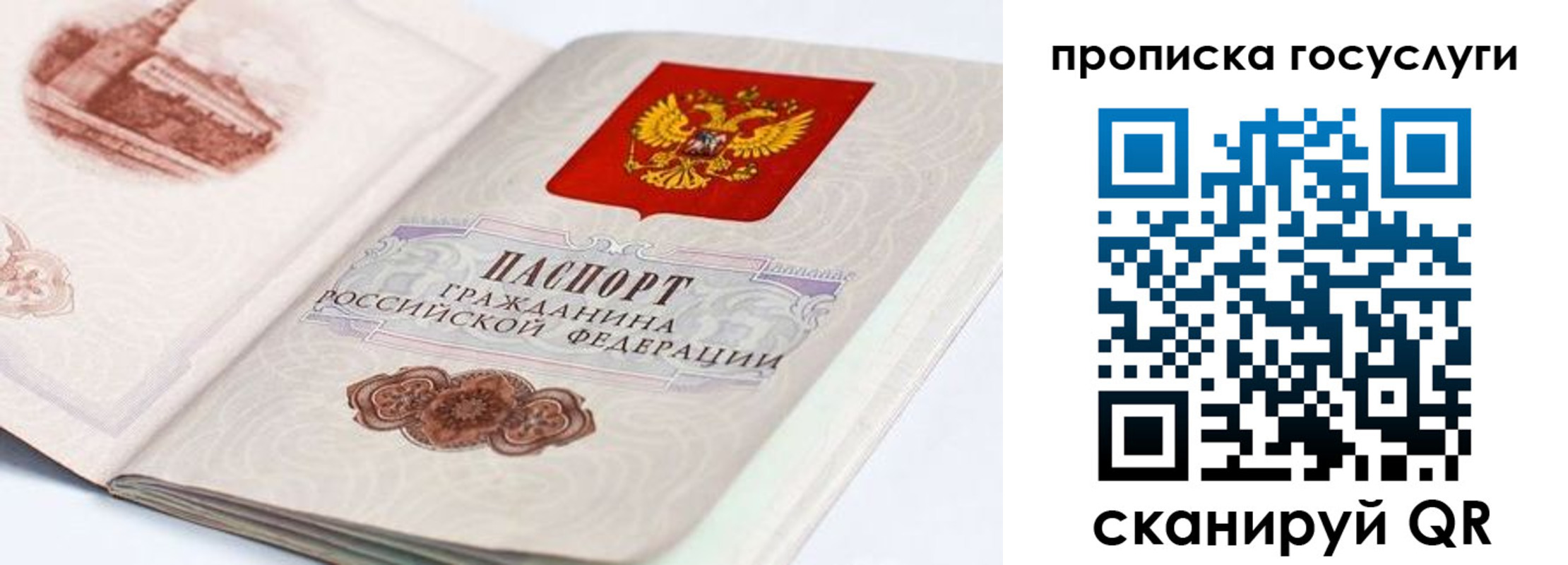 прописка гарантия в Миллерово